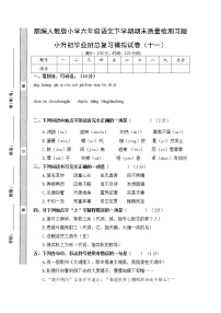 期末总复习试卷(十一)(试题)部编版语文六年级下册（无答案）