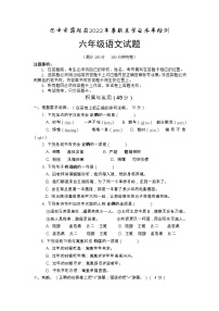 四川省巴中市恩阳区2021-2022学年六年级下学期期末学业水平检测语文试题（无答案）