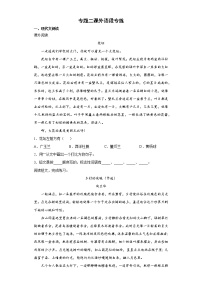 期末复习专题二课外语段专练（试题）部编版语文四年级下册（含答案）