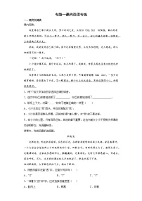 期末复习专题二课内语段专练（试题）部编版语文三年级下册（含答案）