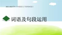 词语及句段的运用复习 课件  2021-2022学年第二学期 六年级语文人教部编版