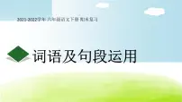 词语及句段的运用复习 课件 2021-2022学年第二学期 六年级语文人教部编版