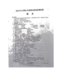 湖南省娄底市新化县2021-2022学年六年级下学期期末质量监测语文试题（含答案）