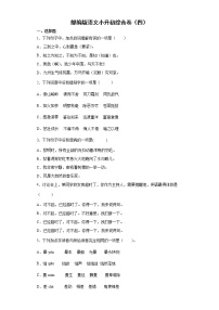 部编版语文小升初综合卷(四)