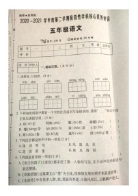 西安市沣东新城 2021五年级语文下册期中考试卷1 部编版 （无答案）