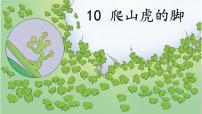 小学语文人教部编版 (五四制)四年级上册10 爬山虎的脚教学课件ppt