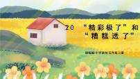 人教部编版五年级上册20* “精彩极了”和“糟糕透了”教学课件ppt