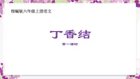 人教部编版六年级上册2 丁香结优秀课件ppt