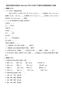 湖南省邵阳市新邵县2020-2021学年六年级下学期毕业质量检测语文试题 word，解析版