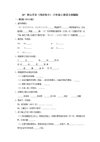 人教部编版六年级上册20* 青山不老同步训练题