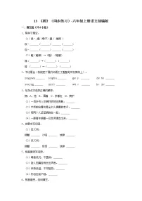 小学语文人教部编版六年级上册13 桥当堂检测题