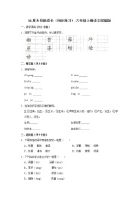 小学语文人教部编版六年级上册16 夏天里的成长当堂达标检测题