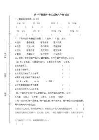 人教部编版六年级语文上册期中测试卷（无答案） (8)