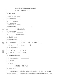 六年级上册语文试题-期中测试卷-人教新课标（无答案） (17)