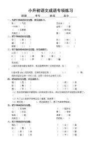 小学语文小升初成语专项练习（附参考答案）