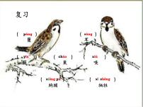 小学语文人教部编版四年级上册16 麻雀示范课课件ppt