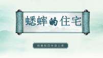 2021学年11 蟋蟀的住宅课文内容课件ppt