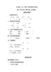 人教部编版三年级上册25 灰雀课后练习题