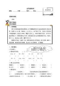 人教部编版六年级上册15 金色的鱼钩学案设计