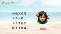 小学语文人教部编版四年级上册口语交际:爱护眼睛,保护视力优秀ppt课件