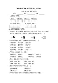 人教部编版 五年级语文下册 期末分类复习 词语成语【含答案】