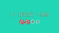 小学语文人教部编版三年级下册17 我变成了一棵树说课ppt课件