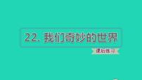 小学语文人教部编版三年级下册22 我们奇妙的世界习题课件ppt