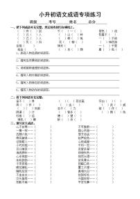 小学语文小升初成语专项练习3（附参考答案）