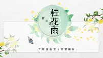 2020-2021学年3 桂花雨教学课件ppt