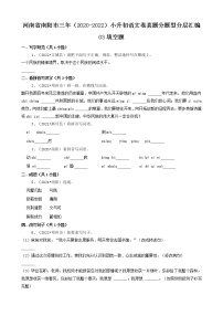 河南省南阳市三年（2020-2022）小升初语文卷真题分题型分层汇编-03填空题