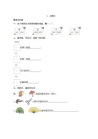 2021学年6 比尾巴综合训练题