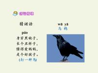 小学人教部编版13 乌鸦喝水教学课件ppt