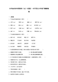 小升初分班考模拟卷（五）（试题）部编版语文六年级下册