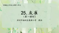 人教部编版三年级上册25 灰雀课堂教学ppt课件