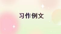 小学4* 繁星优质课件ppt