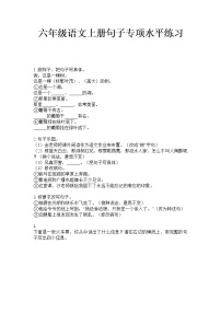 六年级上册语文试题  句子专项训练试题·（无答案）部编版