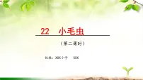 2020-2021学年课文622 小毛虫课堂教学课件ppt