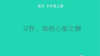 语文五年级上册习作：我的心爱之物教学ppt课件