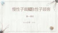 小学语文人教部编版三年级下册25 慢性子裁缝和急性子顾客图文课件ppt