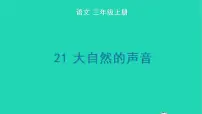 小学语文人教部编版三年级上册21 大自然的声音教学演示ppt课件