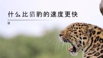 小学语文第二单元7 什么比猎豹的速度更快图片ppt课件
