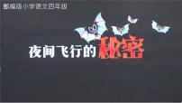 语文四年级上册6 夜间飞行的秘密多媒体教学ppt课件