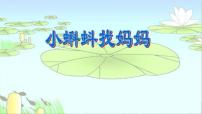 人教部编版二年级上册课文11 小蝌蚪找妈妈示范课ppt课件