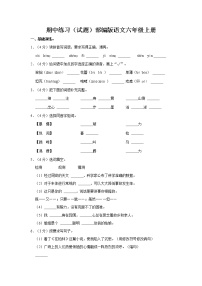 期中练习（试题）部编版语文六年级上册 (5)