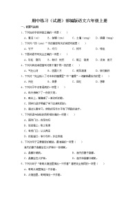 期中练习（试题）部编版语文六年级上册 (8)