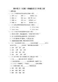 期中练习（试题）部编版语文六年级上册 (9)