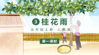 小学语文人教部编版五年级上册3 桂花雨示范课课件ppt