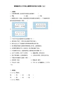 部编版语文六年级上册期中拔高复习试题（五）