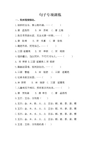 小学语文 六年级上册 句子专项训练