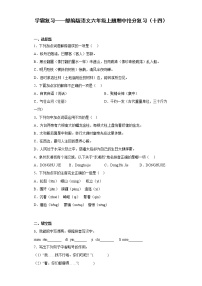 学霸复习——部编版语文六年级上册期中抢分复习（十四）